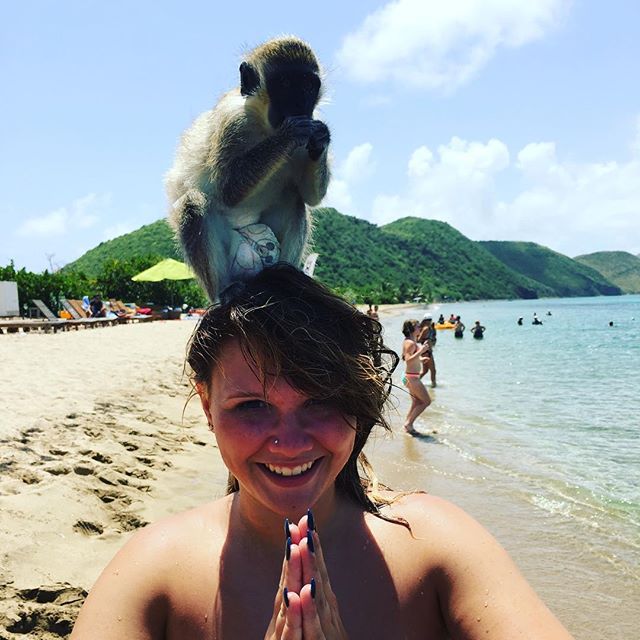 Monkey Business in St. Kitts. #Hannah15
